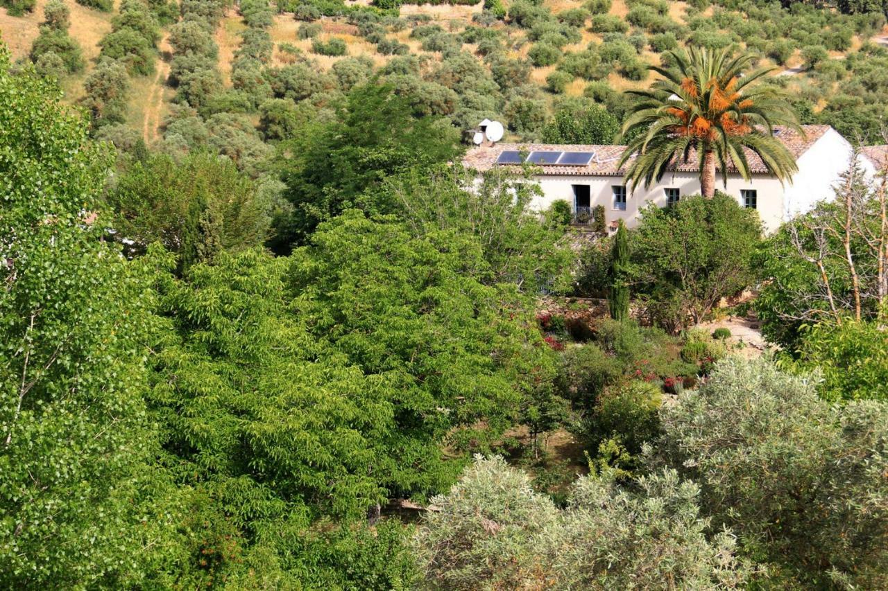 Beautiful Country House Near Ronda Арриате Экстерьер фото